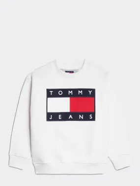 Kids 3-7 Flag Sweatshirt | Hoodies | Tommy Hilfiger