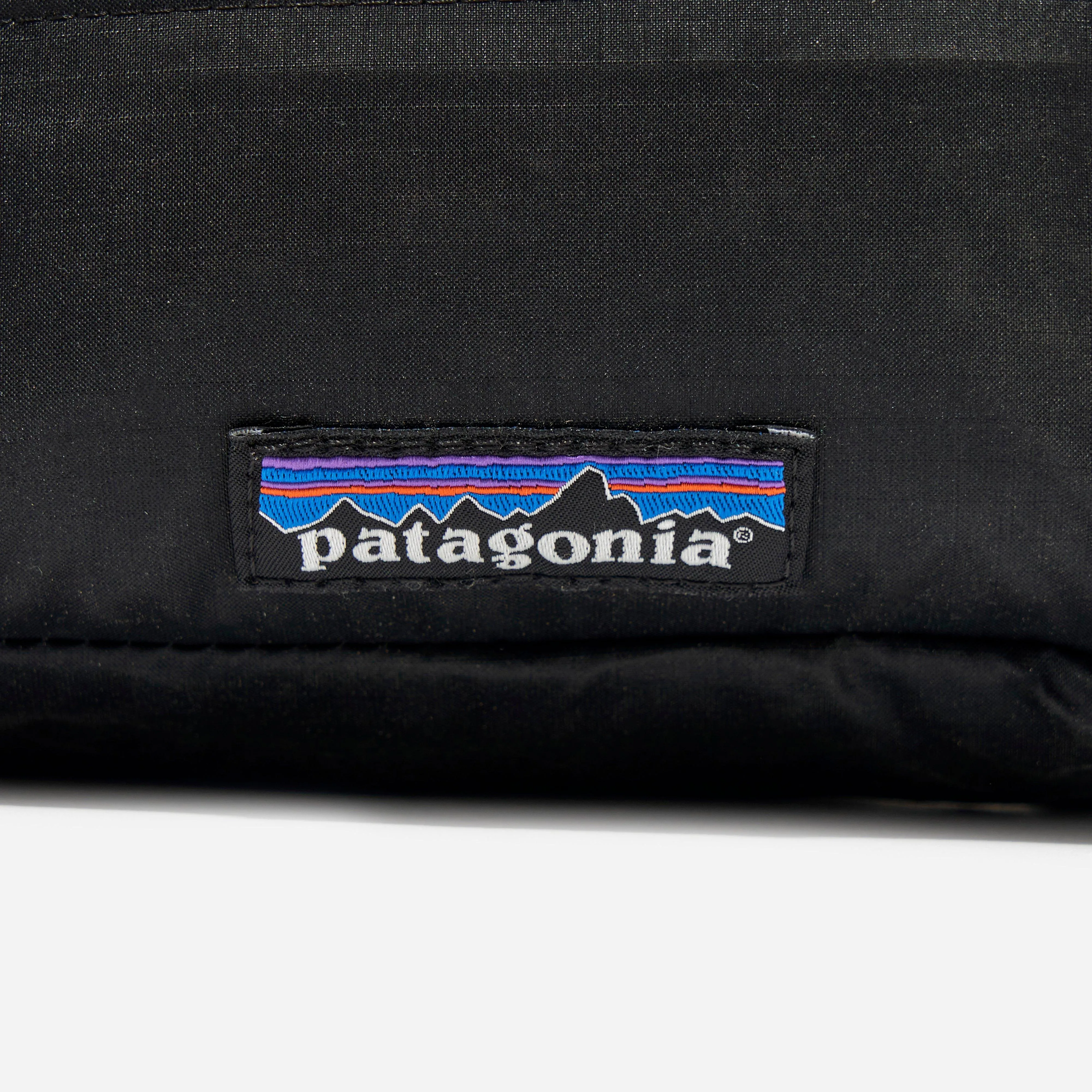 Patagonia Black Hole Mini Hip Pack